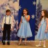 XMAS0441-vi