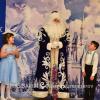 XMAS0479-vi