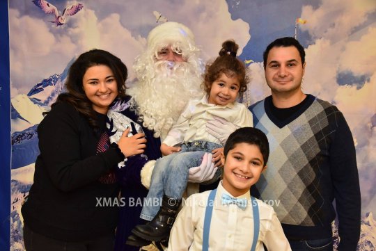XMAS0551-vi