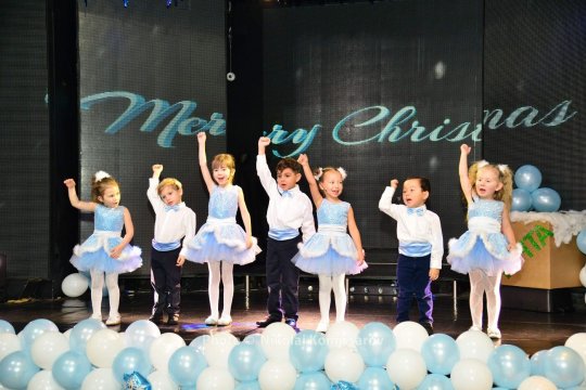 XMAS0066-vi