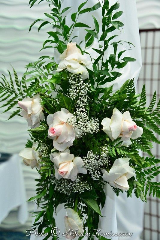 WEDD0003-vi